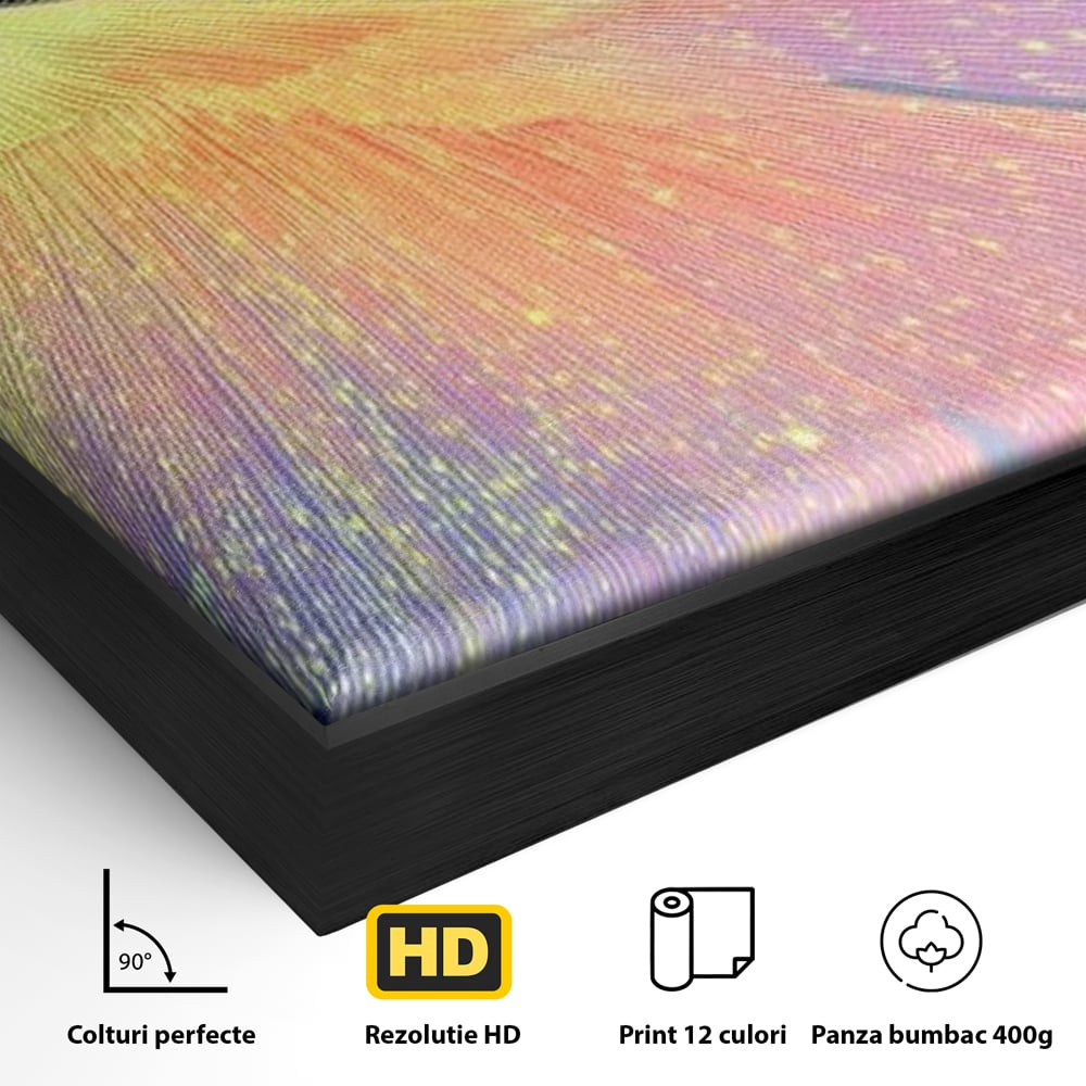 Detaliu al suprafetei: tablou canvas cu pasare colorata in zbor, in rama de aluminiu negru